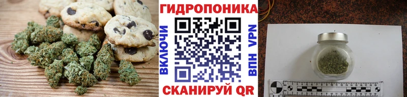 Canna-Cookies конопля купить сайты hydra маркетплейс Шимановск