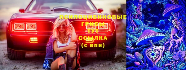 прущие грибы Воткинск