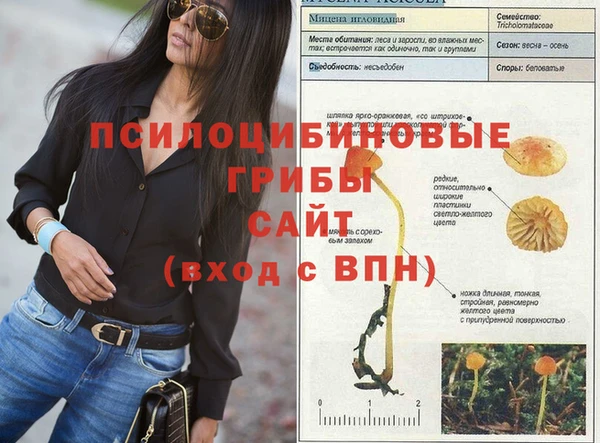 альфа пвп Осинники