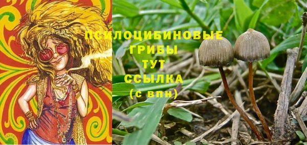 альфа пвп Осинники