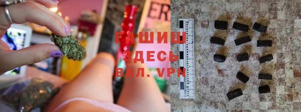 индика Абаза