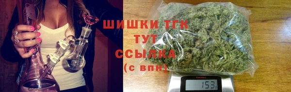 индика Абаза