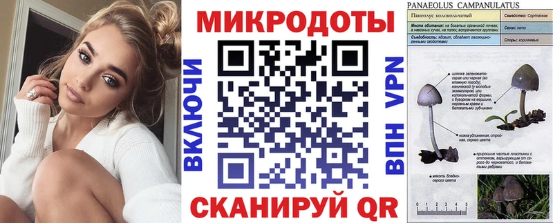 mega маркетплейс  закладки  Шимановск  Галлюциногенные грибы мухоморы 